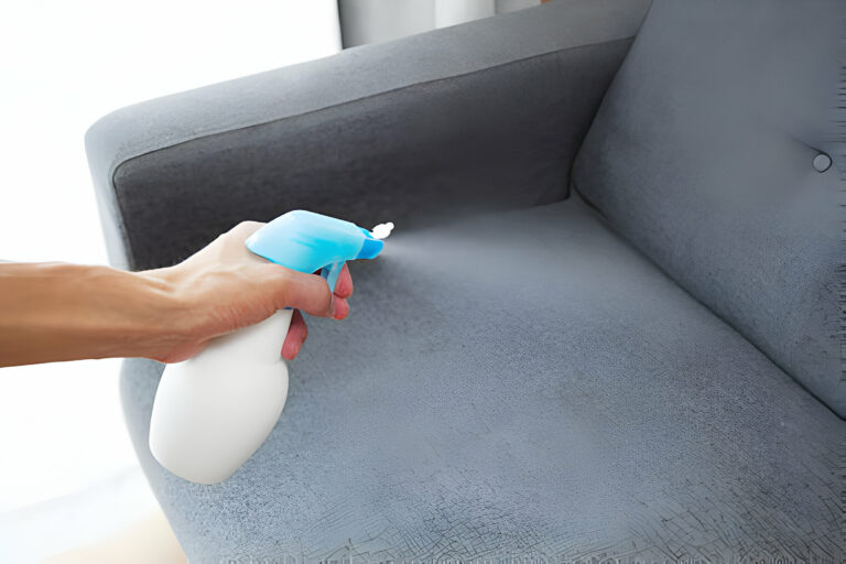 5 Reasons to Invest in Professional Carpet Cleaning in Canberra